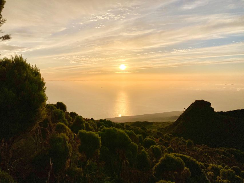 Pico Mountain Climb: Your Path to Portugal’s Highest Point - Key highlights you should care about