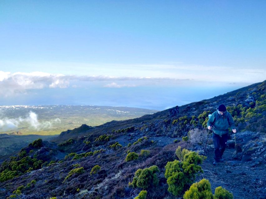 Pico Mountain Climb: Your Path to Portugal’s Highest Point - Into the Natural Reserve: The Climb Through Vegetation and Geology
