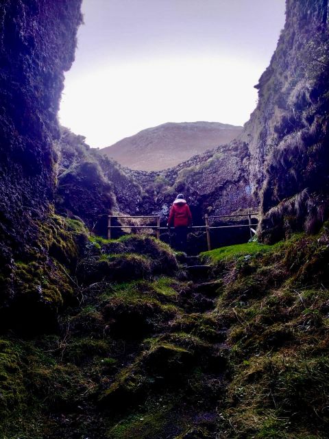 Pico Mountain Climb: Your Path to Portugal’s Highest Point - What You Learn About Pico: Native Plants and Volcanic Structures