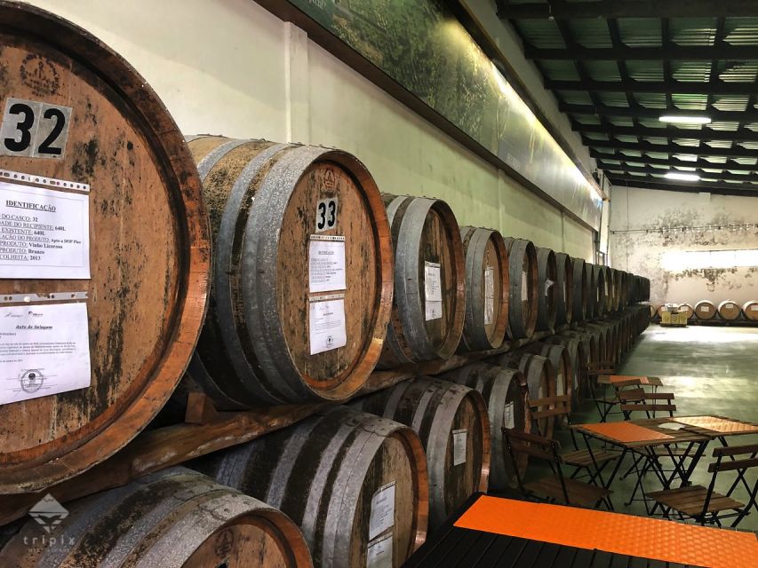 Pico Wine Tour: Get to know Pico's wines - Meeting point, small-group pace, and what the day is actually like