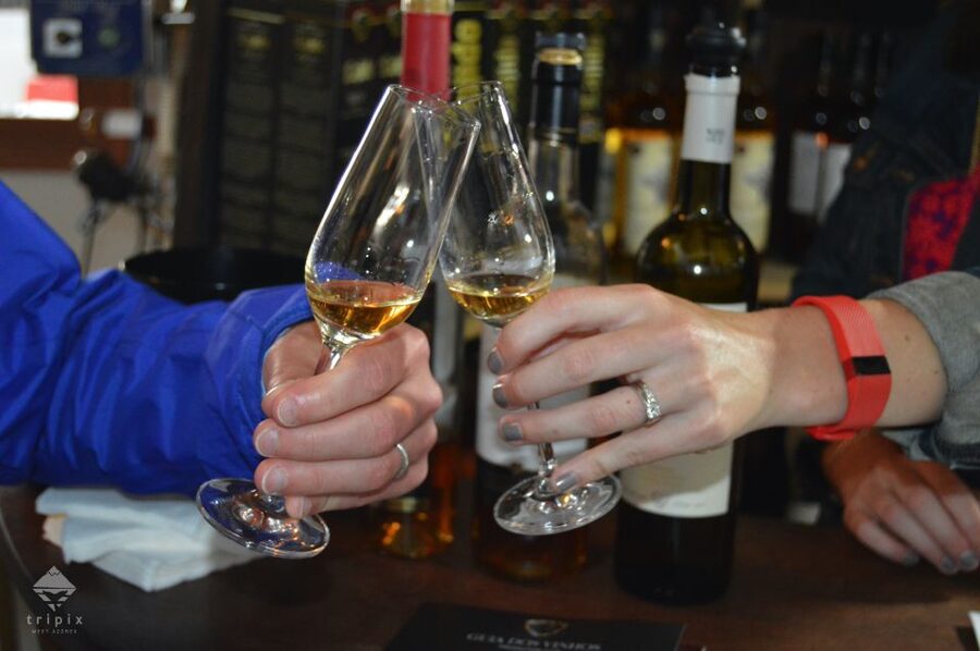 Pico Wine Tour: Get to know Pico's wines - Visitor center time: guided history, plus a little breathing room