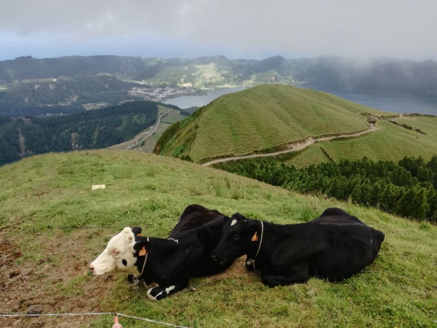 Ponta Delgada: Full-Day Sete Cidades 4X4 Tour with Lunch - Who this Sete Cidades and Lagoa do Fogo tour fits best