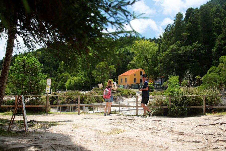 Ponta Delgada: Full-Day Van Tour to Furnas Valley - Price and value for a 7-hour small-group van day