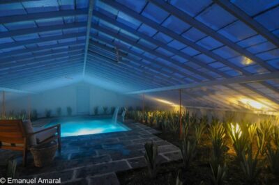 Greenhouse Hot Tube with Pineapple Tour