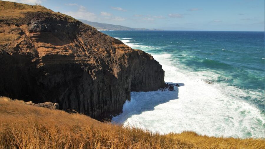 Ponta Delgada: Hidden Gems of São Miguel Full-Day Van Tour - Guides Who Actually Read the Group