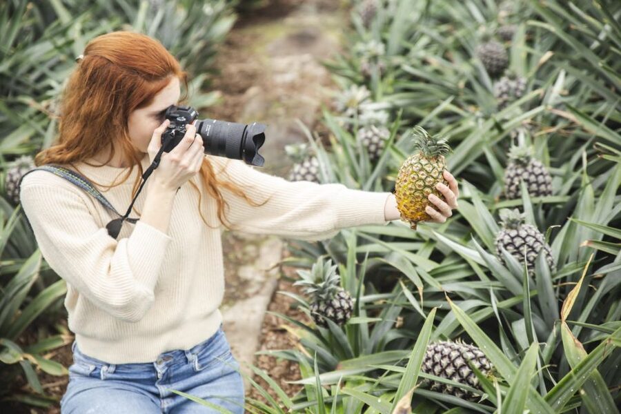 Ponta Delgada: Pineapple wine tasting and pineapple tour - Entering Herdade do Ananás, Then Straight Into the Greenhouses