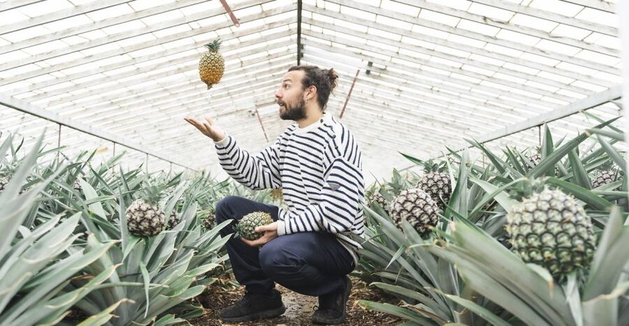Ponta Delgada: Pineapple wine tasting and pineapple tour - Unlimited Garden Time: The Part People Skip (But Should Not)