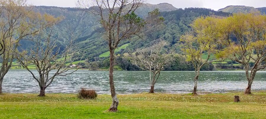 Ponta Delgada: Private Tour Sete Cidades Green e Blue Lakes - Pico do Carvão, the First Big Clues About São Miguel