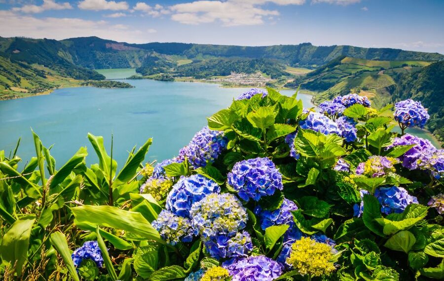 Ponta Delgada: Sete Cidades & Lagoa do Fogo Tour - Lagoa do Fogo viewpoint: the second crater lake hit