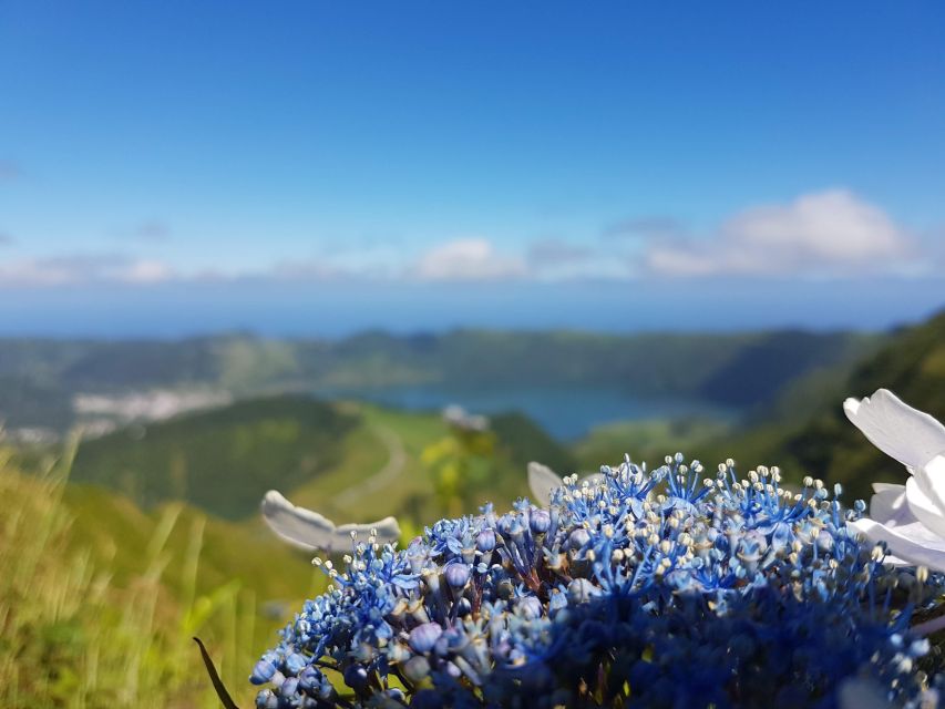 Ponta Delgada: Sete Cidades & Lagoa do Fogo Tour - Caldeira Velha hot springs: bring your towel and actually plan to swim