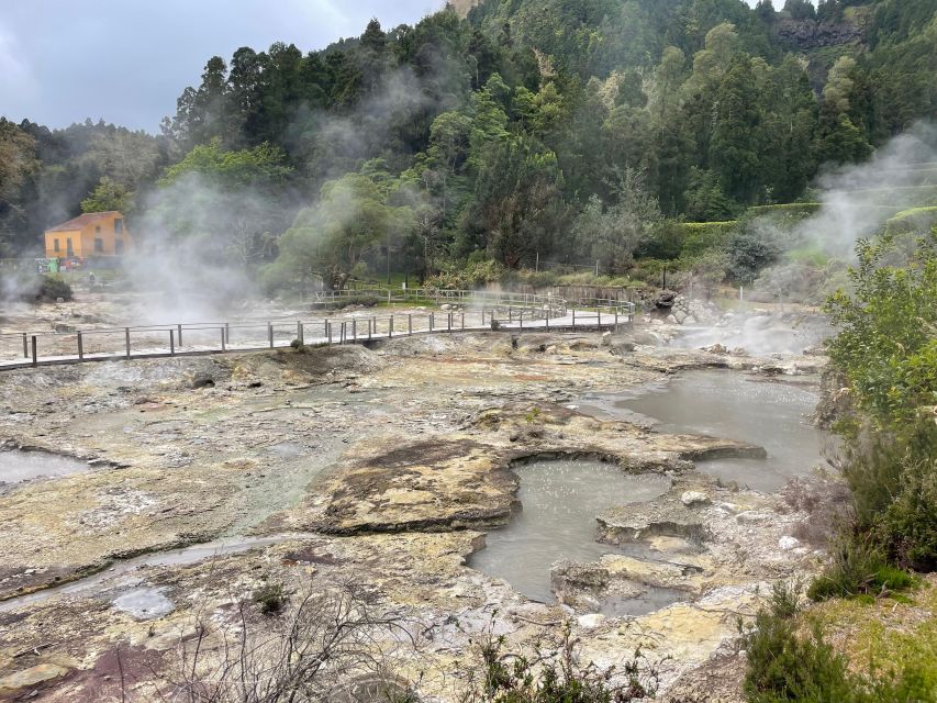 Privat van tour Furnas valley, Gorreana tea – islands gems - A private São Miguel day built around your pace
