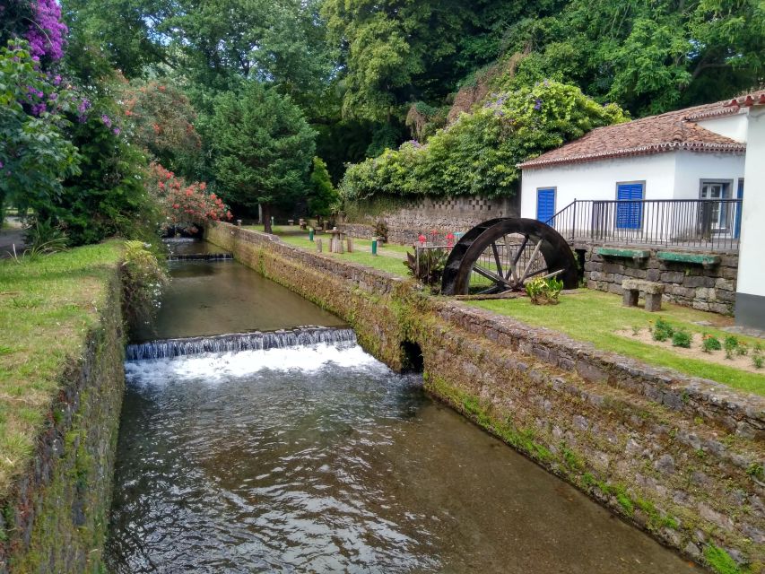 Privat van tour Furnas valley, Gorreana tea – islands gems - Your day at a glance, from beach views to tea time