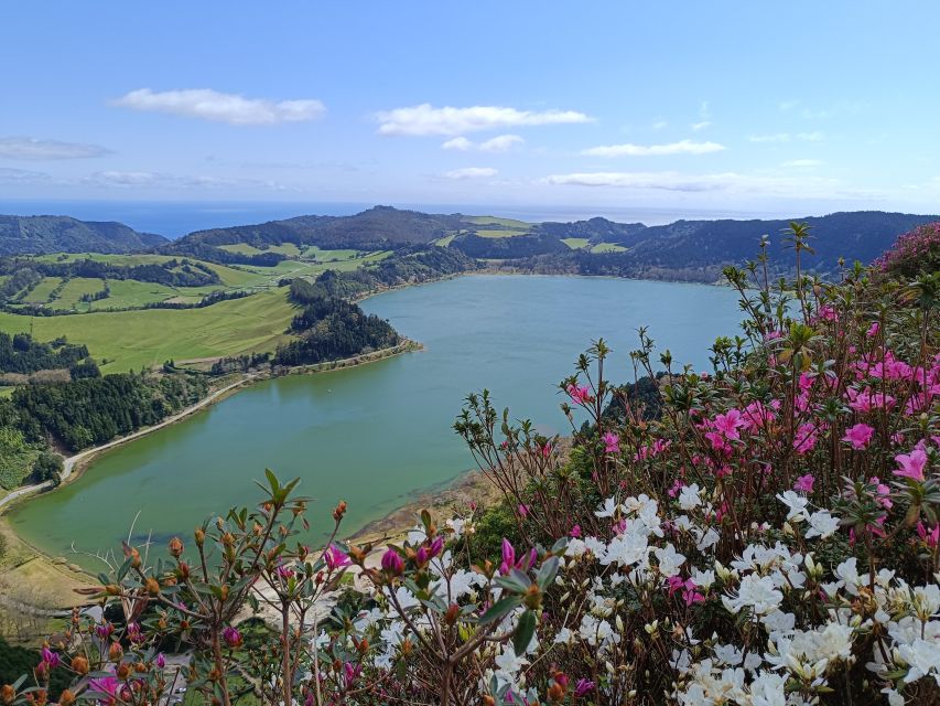 Privat van tour Furnas valley, Gorreana tea – islands gems - Gorreana Tea Factory: the most structured time on the route