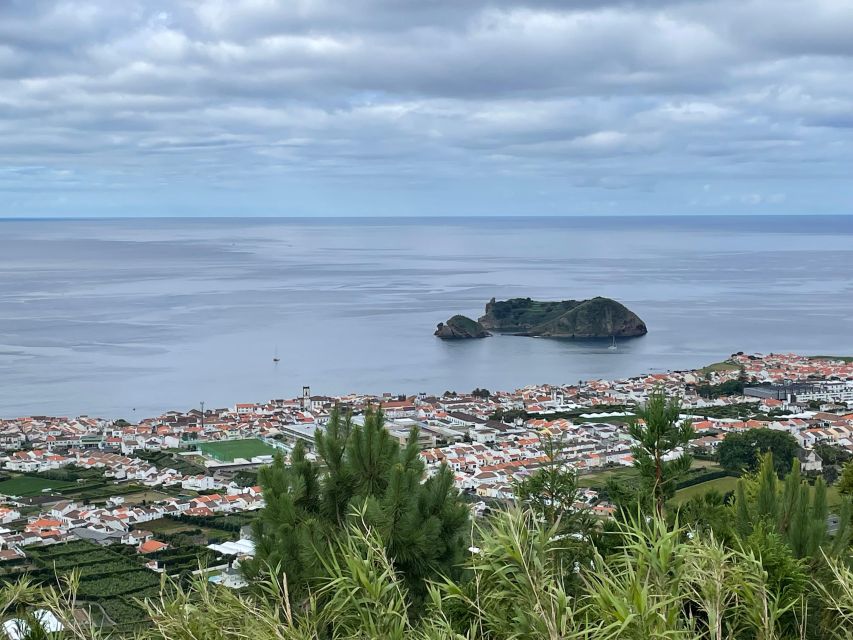 Privat van tour Furnas valley, Gorreana tea – islands gems - Price and value, what $318 per group really buys