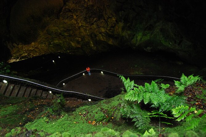 Private Caves Tour with a Geologist - Key highlights you should know before you go