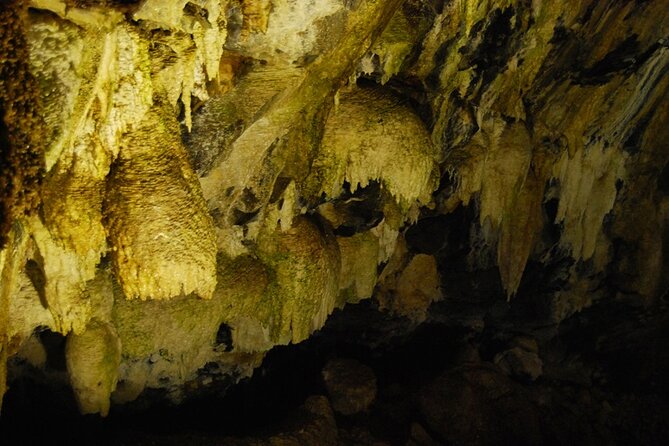 Private Caves tour with a Geologist - Pickup and afternoon timing from Angra do Heroísmo