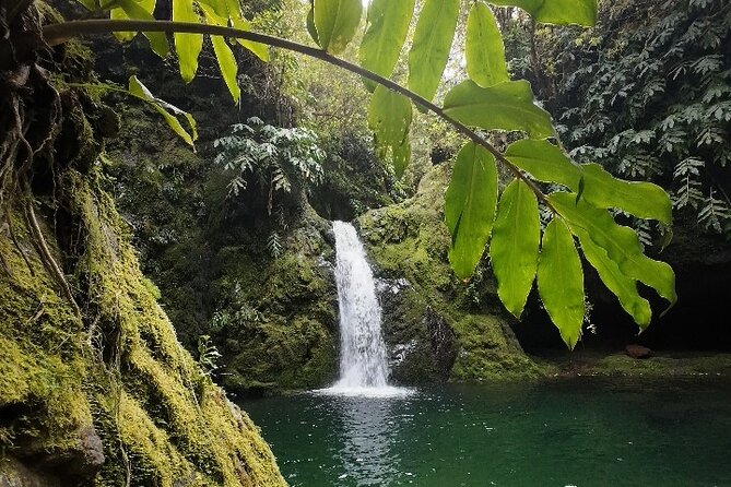 Private Custom Canyoning Adventure in São Miguel - A Typical 4-Hour Flow on São Miguel, From Meeting to Finish