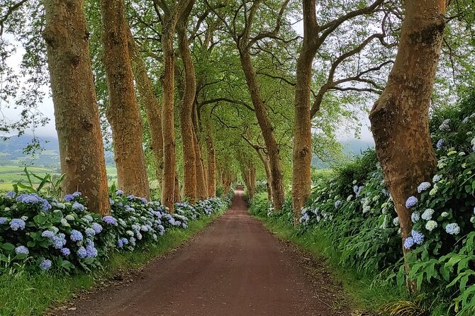 Private Custom Tour in São Miguel Island - Key Things to Know Before You Go