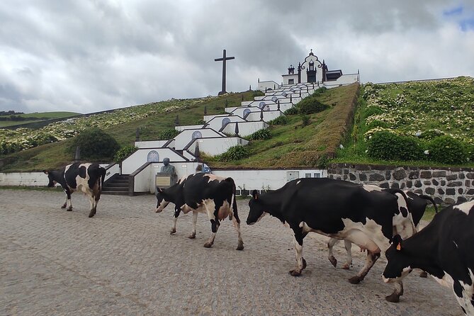 Private Custom Tour in São Miguel Island - How a Private São Miguel Day Actually Works (and why 7 to 8 hours fits)