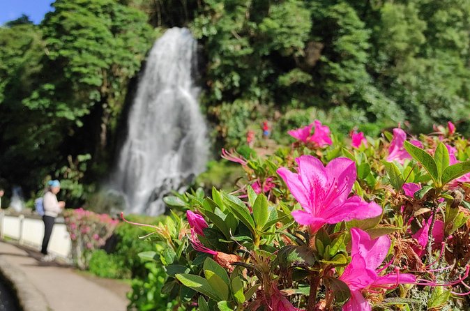 Private Custom Tour in São Miguel Island - Furnas: Hot Springs, Thermal Pools, Botanical Gardens, and Geocooking