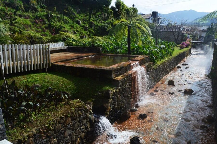 Private Full-Day Tour CUSTOMIZED - The only European tea plantation: unlimited tea and a different side of the islands