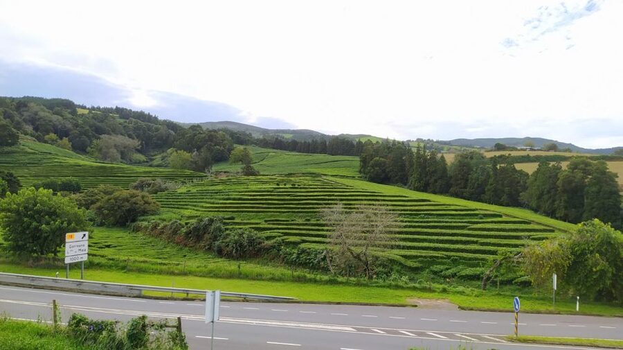 Private Full-Day Tour CUSTOMIZED - Price and value: is $206 per person fair for this mix?