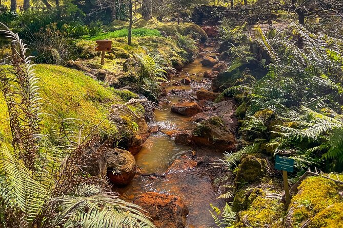 Private Full Day Tour Furnas – Thermal Pools & Botanical Garden - Private comfort from Ponta Delgada, with pickup that actually matters