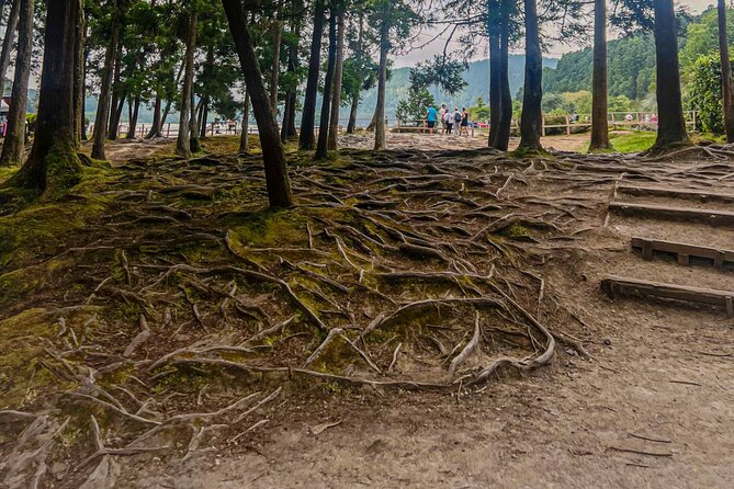 Private Full Day Tour Furnas – Thermal Pools & Botanical Garden - Furnas town break: lunch choice built around local food