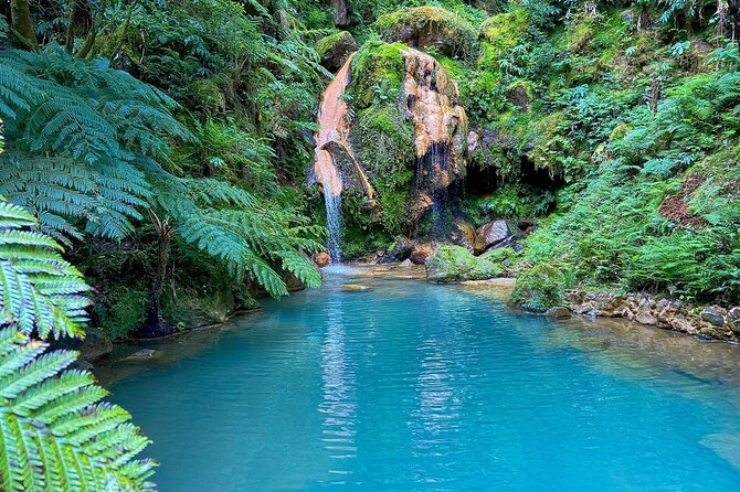 Private Guided Tour to Furnas and thermal baths. - Key highlights