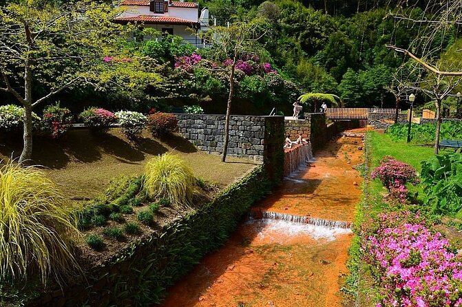 Private Guided Tour to Furnas and thermal baths. - Gorreana tea plantation: tasting as the perfect short stop