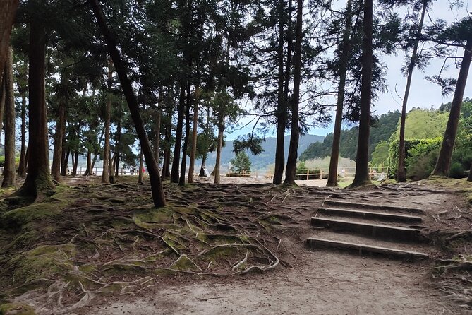 Private Half-Day Tour in Furnas São Miguel Island - Stop 4: Lagoa das Furnas and the Famous Stew-Cooking Holes