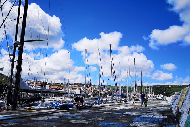 Private Half-Day Walking Tour of Horta Experience - Start at the Marina of Horta, where sailors left their mark