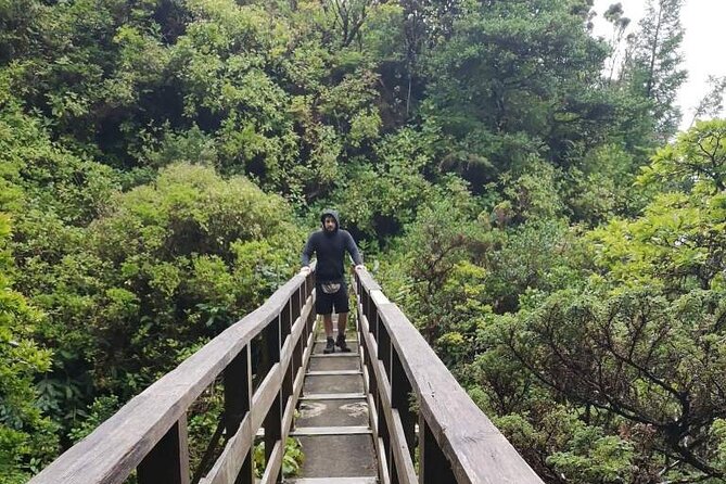 Private hike along the Levada - Key highlights to know before you go