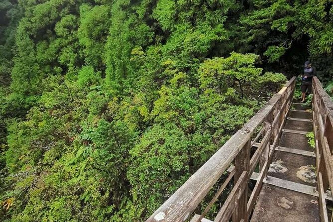 Private hike along the Levada - A Levada trail is easy to miss, and that is the point