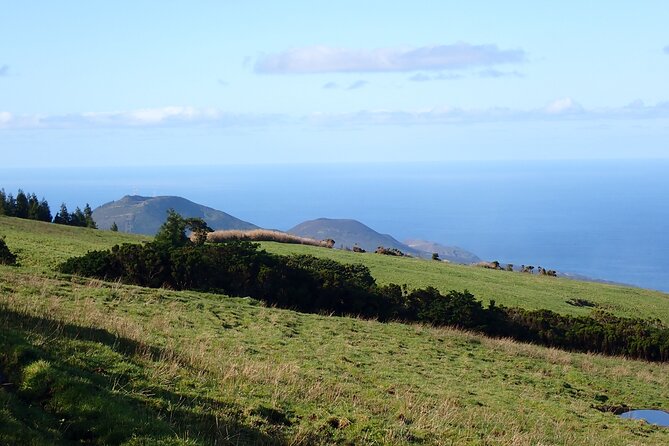 Private hike along the Levada - The value of paying for a guide on Faial