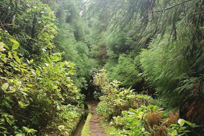 Private hike along the Levada - Practical tips to get the most out of your Levada half-day