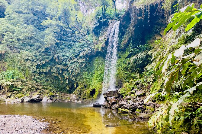Private Hike - Discover São Miguel’s Craters, Lakes & Waterfalls - Key highlights worth knowing
