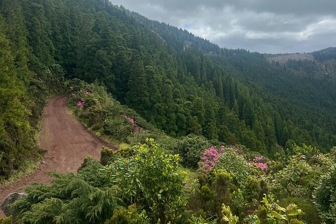 Private Hiking Tour São Miguel Island - Sanguinho Trail in Faial da Terra: laurel forest, Salto do Prego, and a stone village