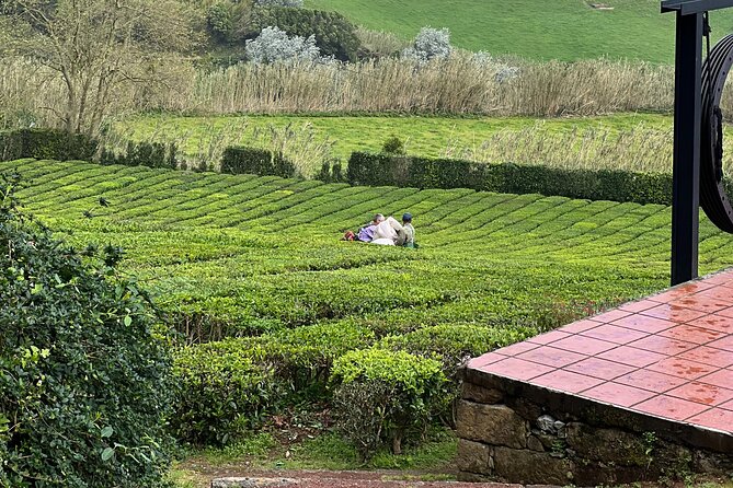 Private Hiking Tour São Miguel Island - Guide Francisco: why the private part feels worth it