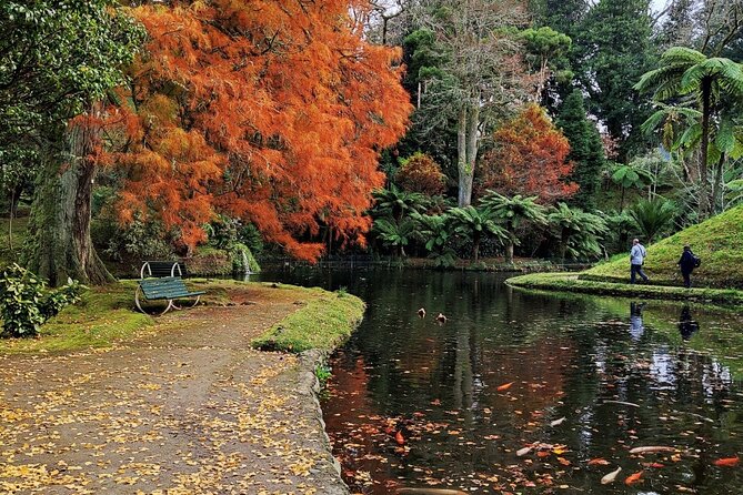 Private Lagoon of Fire and Furnas Tour - Gorreana tea plantations, a centenary break in the middle of volcano country
