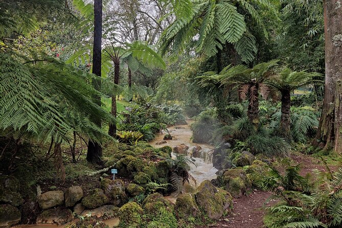 Private Lagoon of Fire and Furnas Tour - Price and value: what you’re really paying for at about $108.37