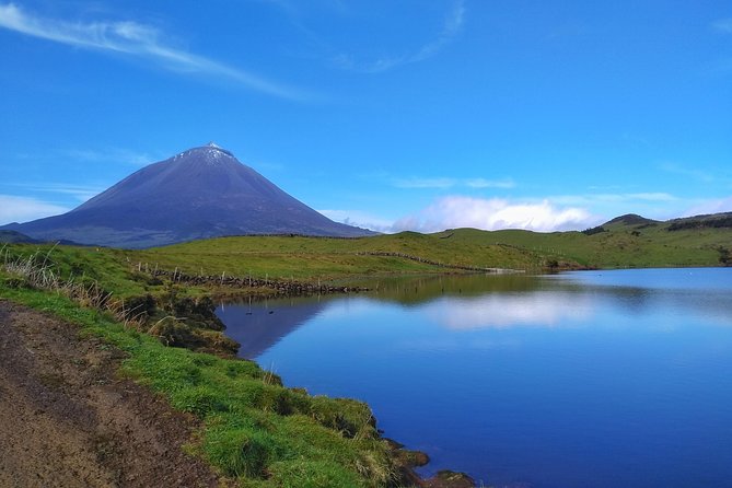 Private Route - Pico Island in the main 8 hour stretch: volcano and viticulture focus