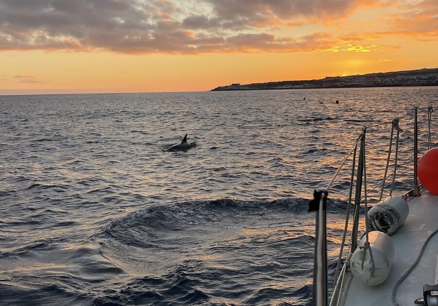 Private Sailing Sunset Tour PDL - Onboard comfort: fridge, seating, and keeping things easy