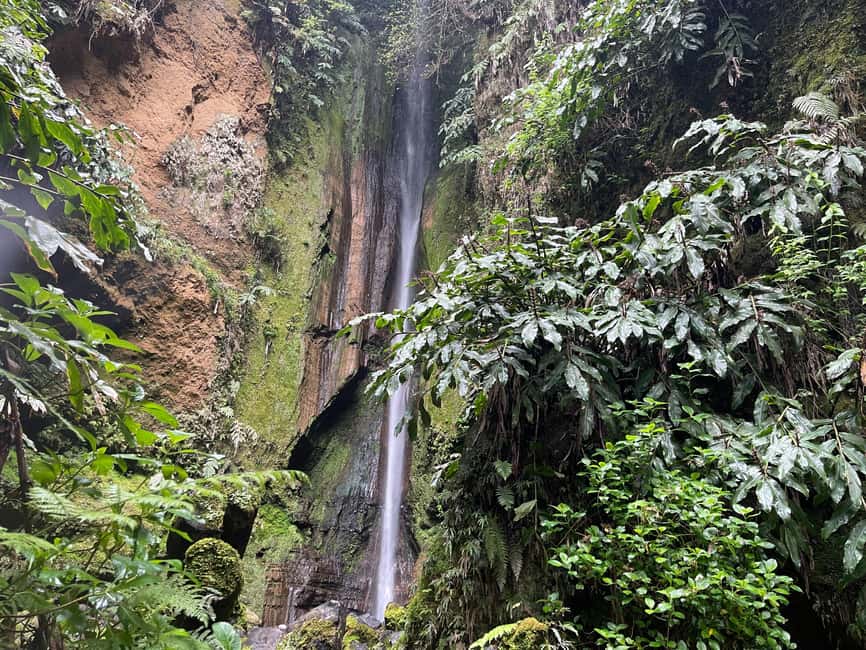 Private Tour Furnas: Furnas Lake Hike & Terra Nostra Park - How a private Furnas day actually runs (8 hours, small-group comfort)