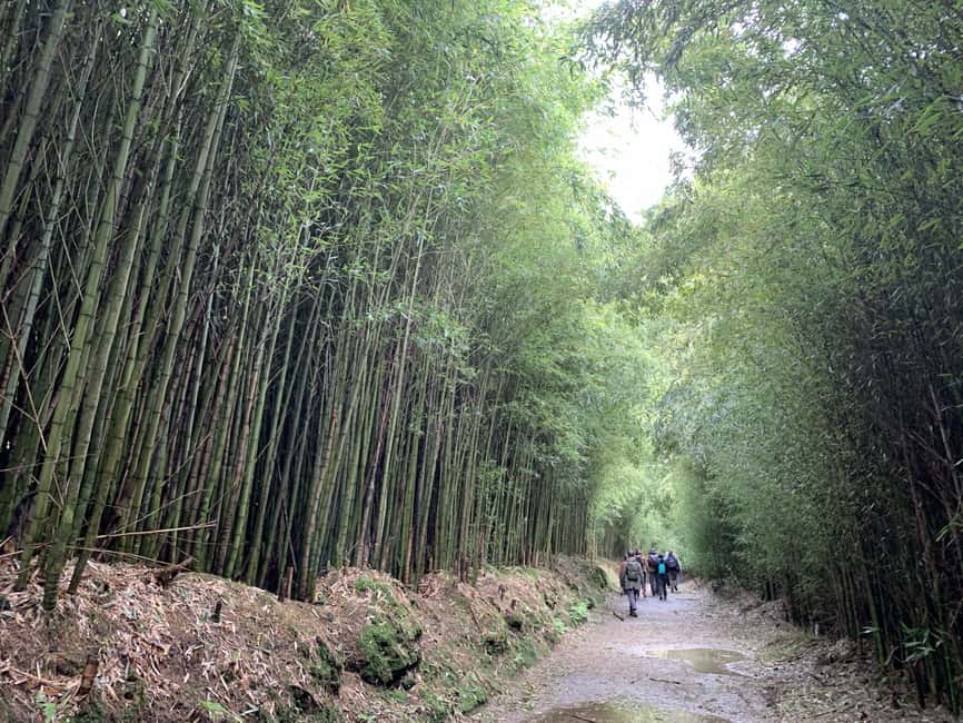 Private Tour Furnas: Furnas Lake Hike & Terra Nostra Park - Furnas town time: hot springs vibes with a lunch break you control