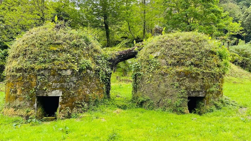 Private Tour Furnas: Furnas Lake Hike & Terra Nostra Park - Terra Nostra Park thermal pool: soak time in an award-winning garden