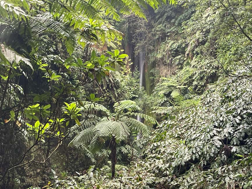 Private Tour Furnas: Furnas Lake Hike & Terra Nostra Park - Pico do Ferro again? No, but your last photo stop still matters