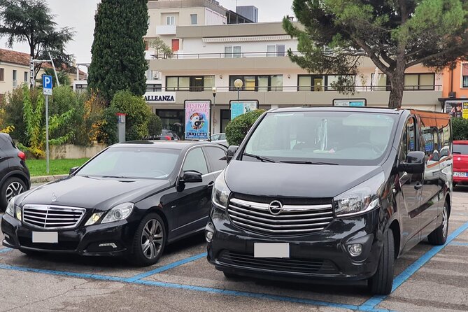 Private Transport from Ponta Delgada Joao Paulo II Airport to hotels - Luggage Rules, Child Seats, and Service Animals