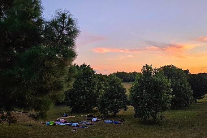 Private Yoga Class in Nature - Carolina Lino’s Teaching Style, and Why People Feel Taken Care Of