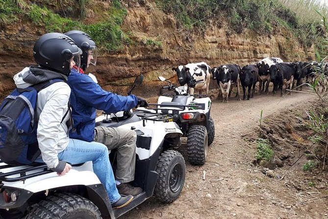 Quad Bike Tour - Sete Cidades from North Coast (Full Day) with lunch - What You Need Before You Drive (and How to Plan)
